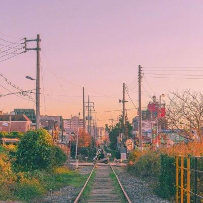 半岛彩票下载手机版