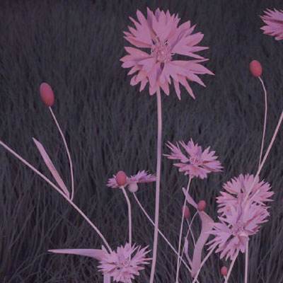 bat365官网登录入口手机app下载